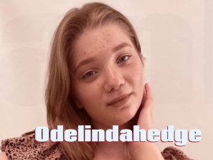 Odelindahedge