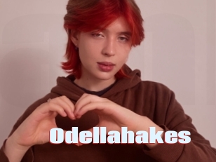 Odellahakes