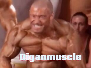 Oigan_muscle