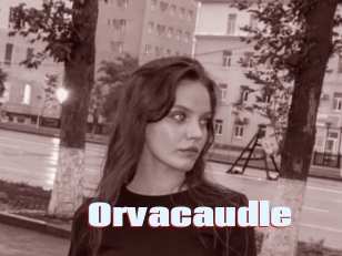 Orvacaudle