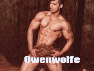 Owenwolfe