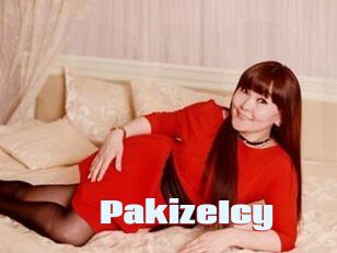 PakizeIcy
