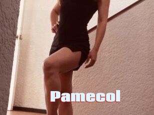 Pamecol