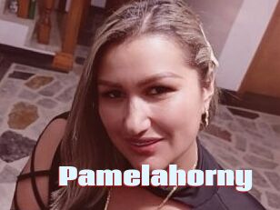 Pamelahorny