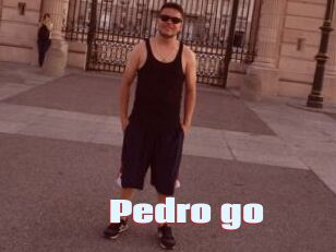Pedro_go