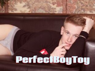 PerfectBoyToy