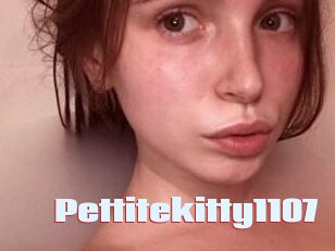 Pettitekitty1107