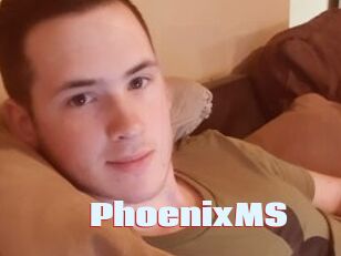 PhoenixMS
