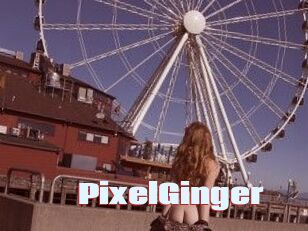 PixelGinger