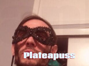 Plate_a_puss
