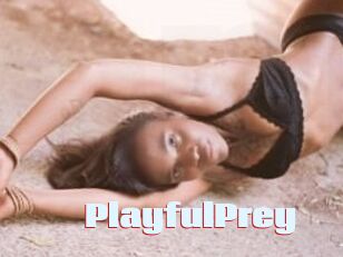 PlayfulPrey