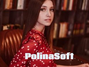 PolinaSoft