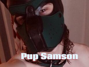 Pup_Samson