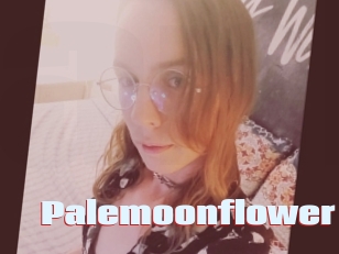 Palemoonflower