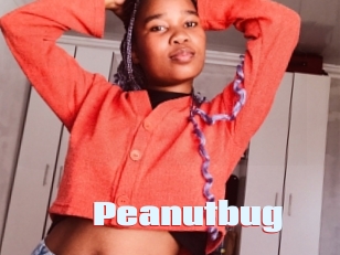 Peanutbug