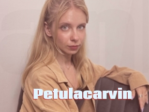 Petulacarvin