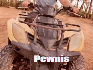 Pewnis