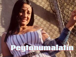 Peytonumalatin