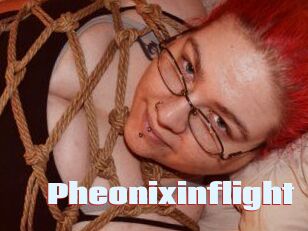 Pheonixinflight