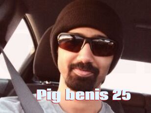 Pig_benis_25