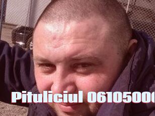 Pituliciul-06105006
