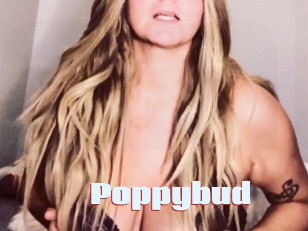 Poppybud