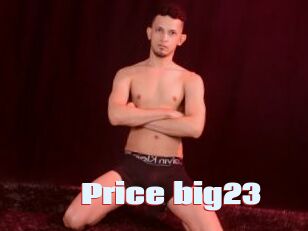 Price_big23