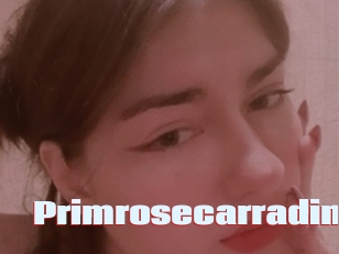 Primrosecarradin