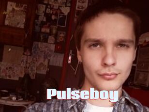 Pulseboy