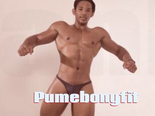 Pumebonyfit