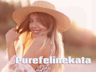 Purefelinekata