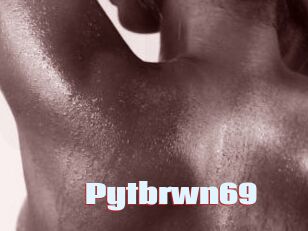 Pytbrwn69