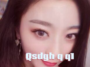 Qsdgh_q_q1