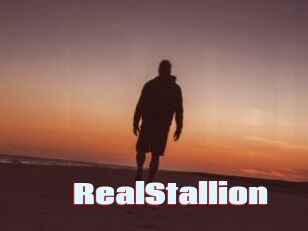 RealStallion