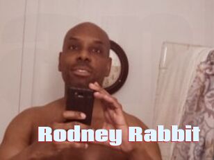 Rodney_Rabbit