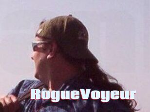 RogueVoyeur