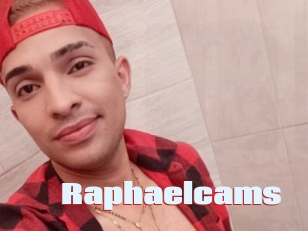 Raphaelcams