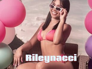 Rileynacci