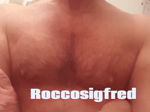 Roccosigfred