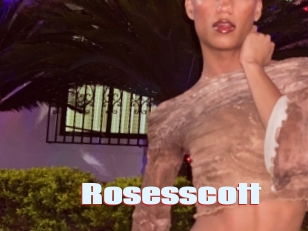 Rosesscott