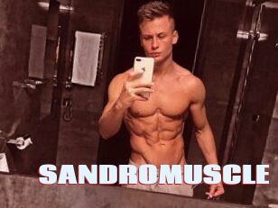 SANDRO_MUSCLE