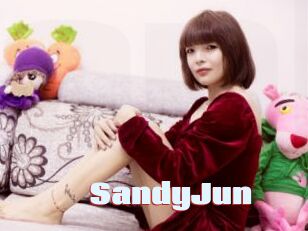 SandyJun