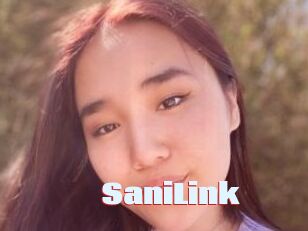 SaniLink