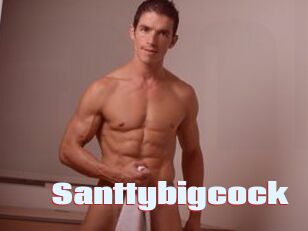 Santtybigcock