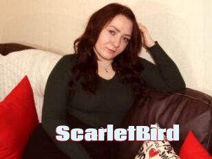 ScarletBird