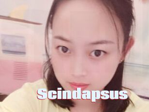 Scindapsus