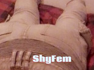 ShyFem