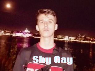 Shy_Gay