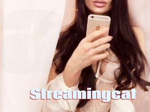 Streamingcat