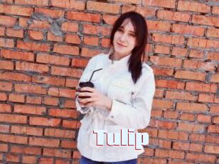 Tulip